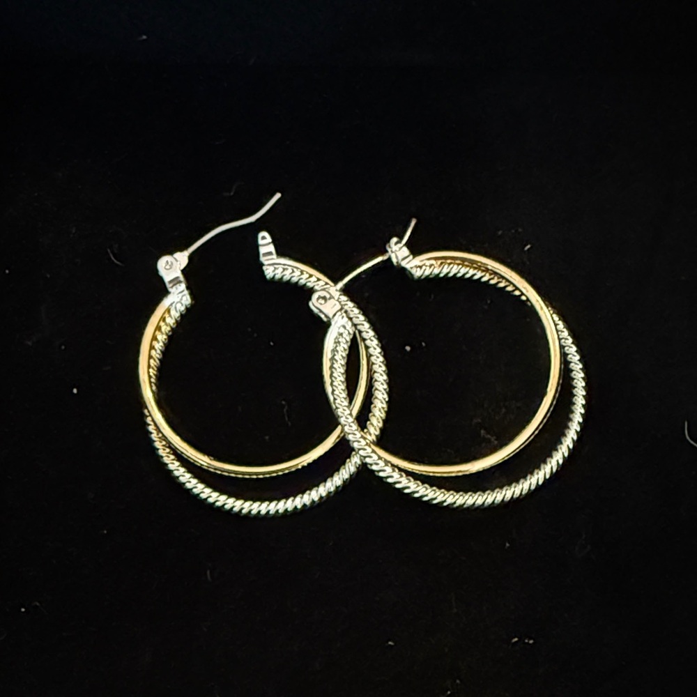 Elegant Gold and Silver Hoop Earrings